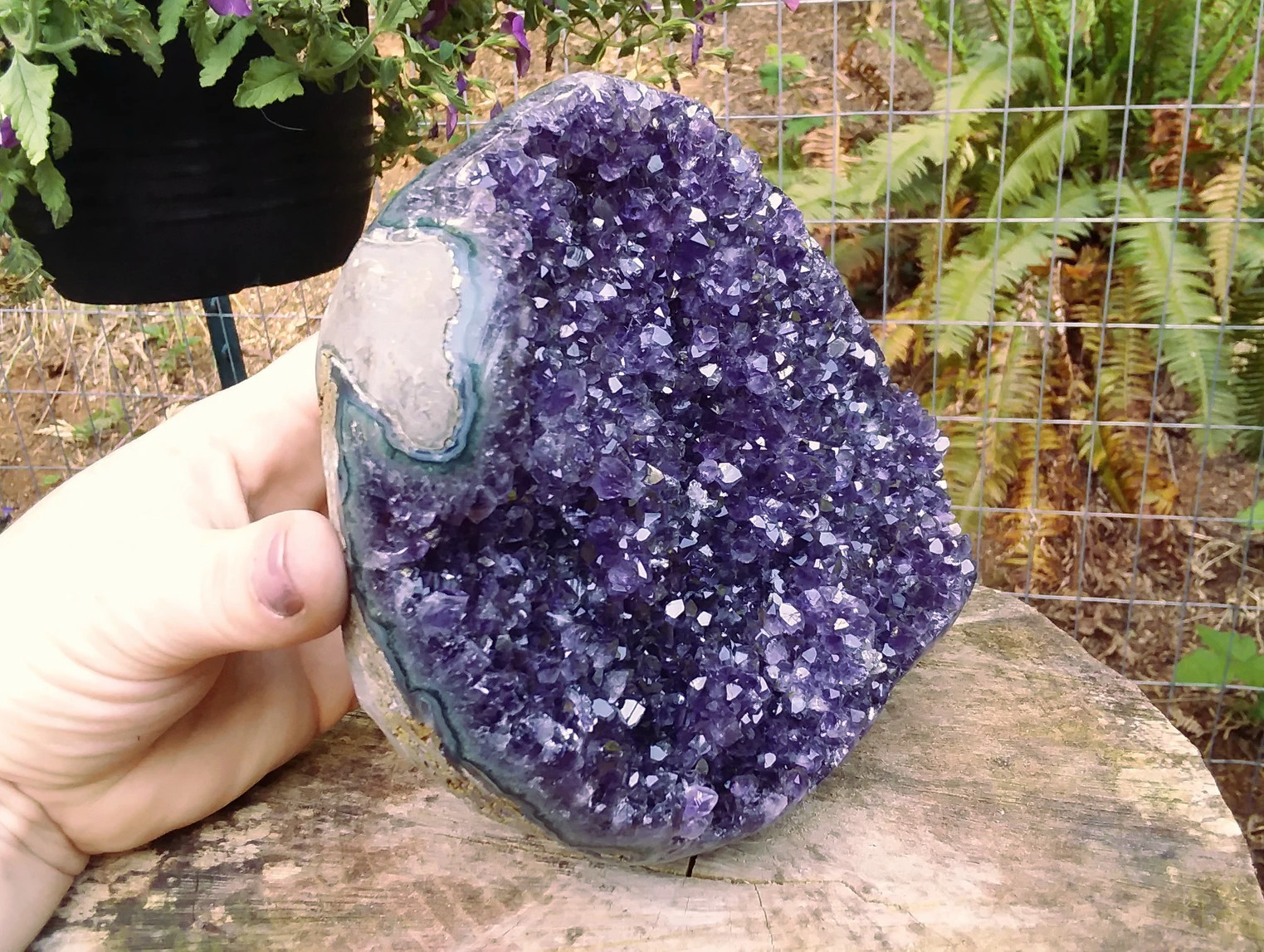 Big Druzy Amethyst cluster with polished edges 5 lbs - Click Image to Close