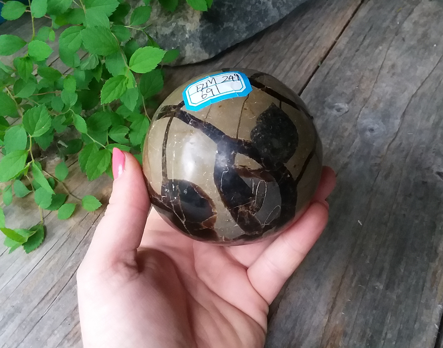 Dragon Septarian Sphere large 3.5" - Click Image to Close