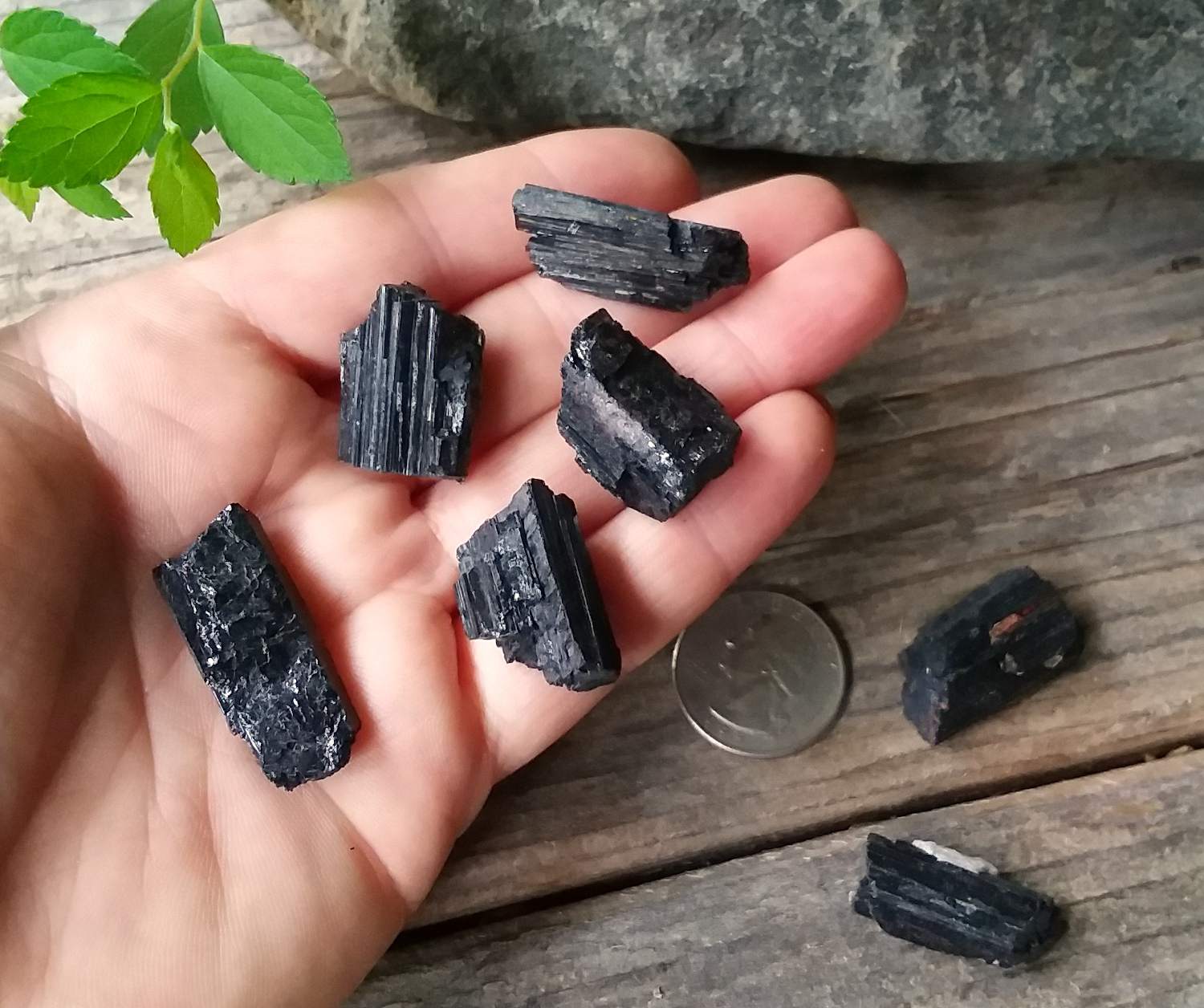 Black Tourmaline rough crystal mineral specimen Small - Click Image to Close