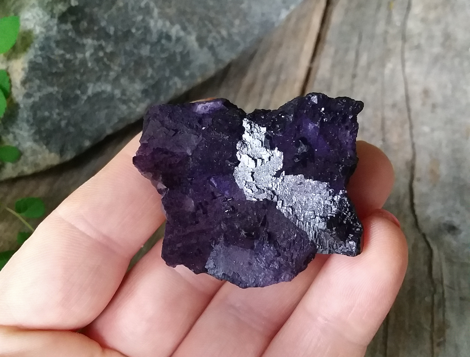 Dark purple cubic Fluorite cluster - Click Image to Close