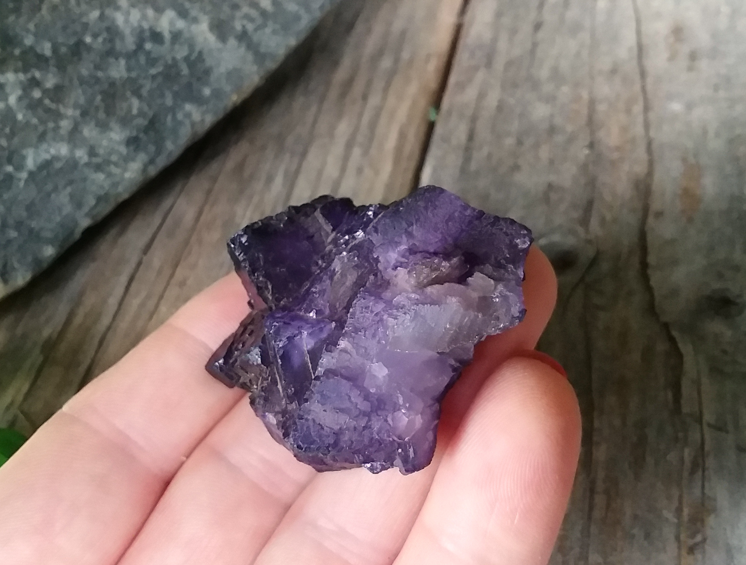 Dark purple cubic Fluorite cluster
