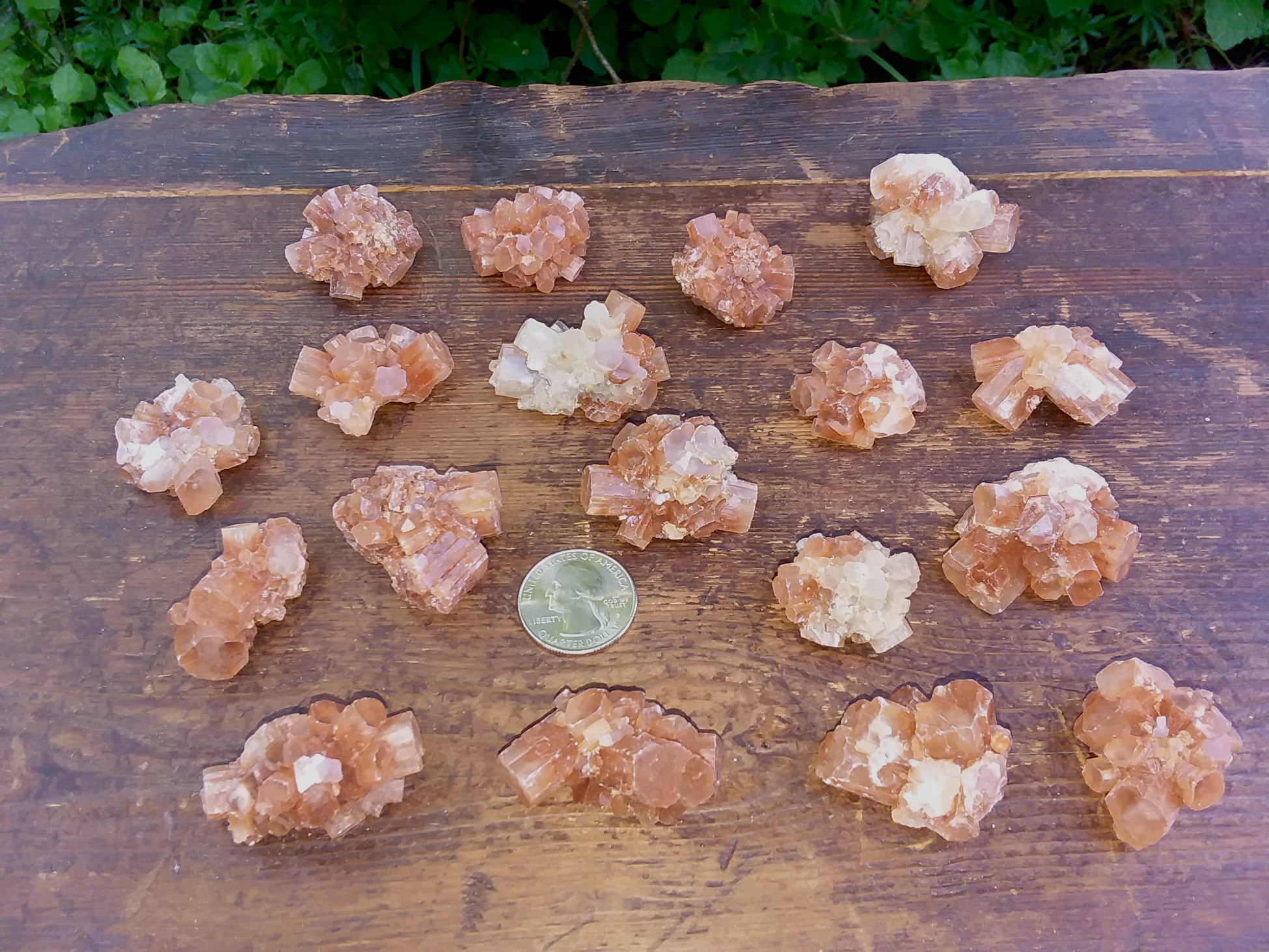 Argonite Star Cluster small 1" to 1.5" - Click Image to Close