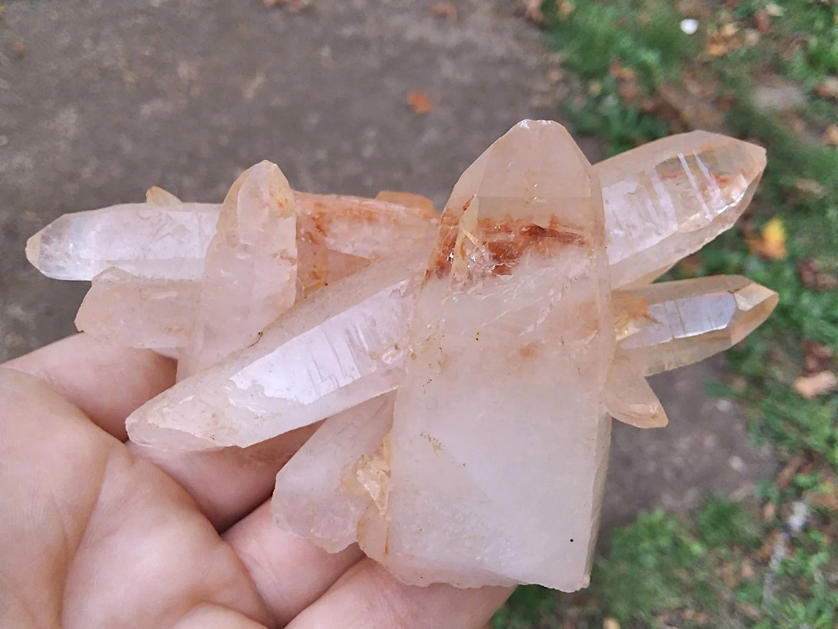 Lemurian raw crystal quartz point cluster with Red Ghost Phantom
