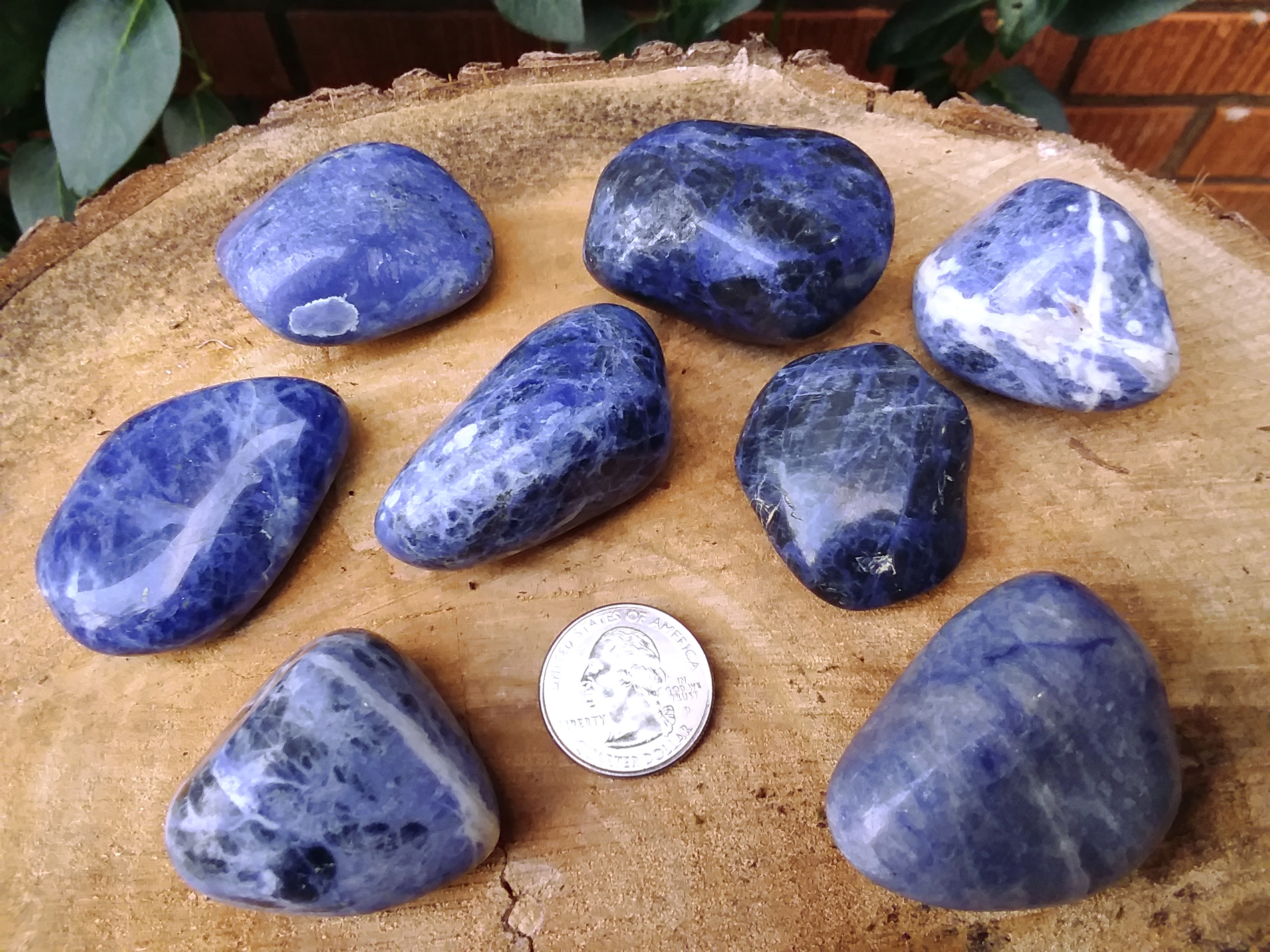Sodalite large 1.25"+ - Click Image to Close