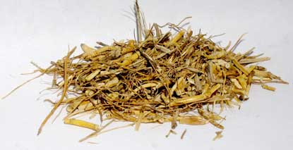 Witches Grass cut 1 oz - Click Image to Close