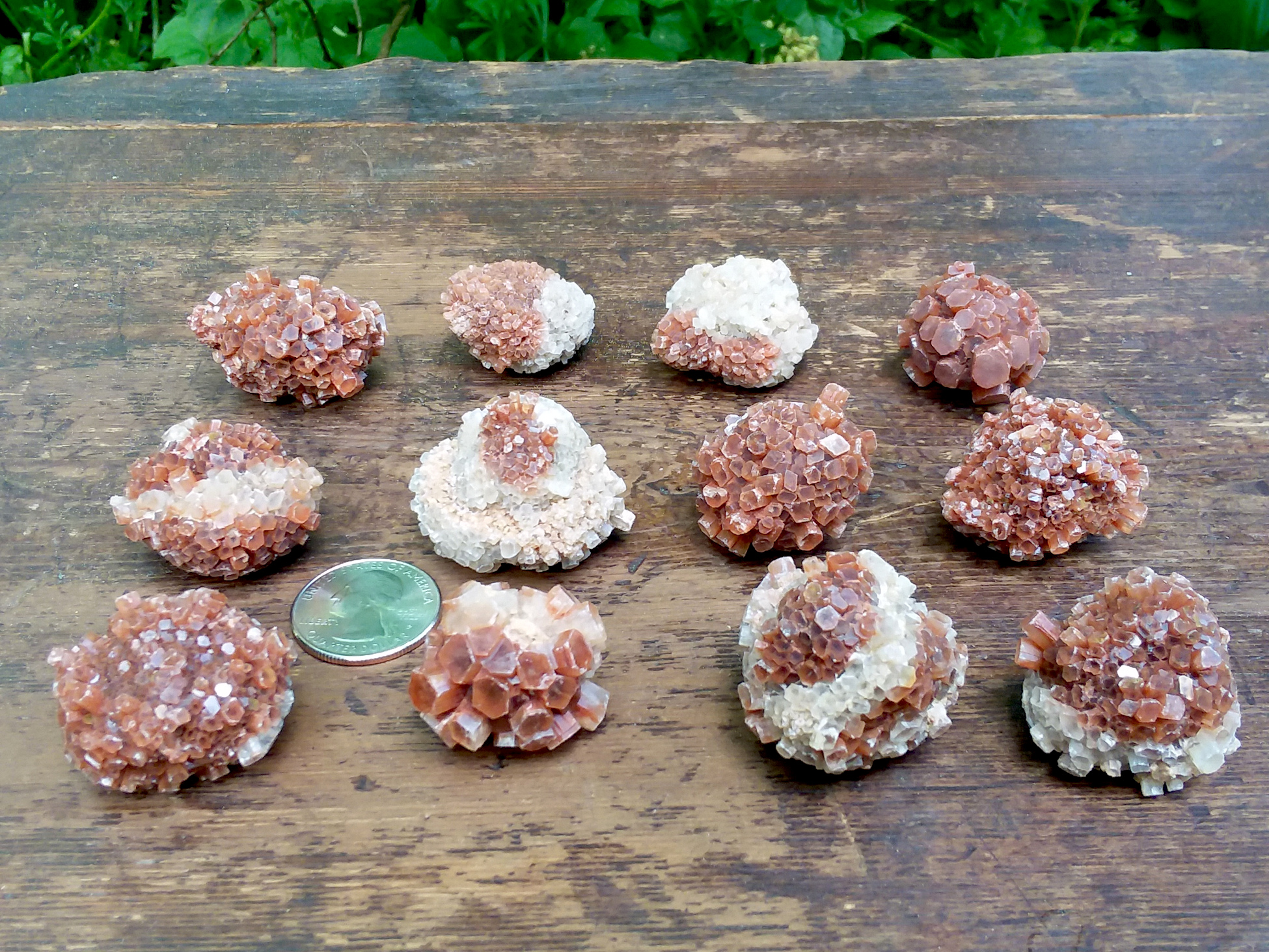 Aragonite star cluster natural round ball shaped crystal
