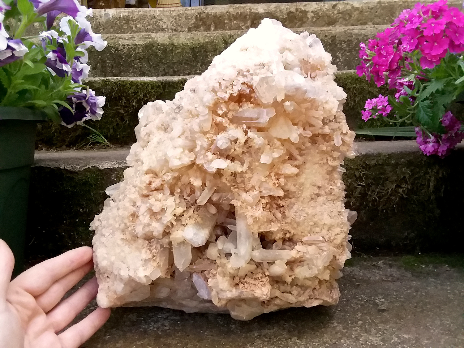 Large 28.8 lb Crystal Quartz Cluster