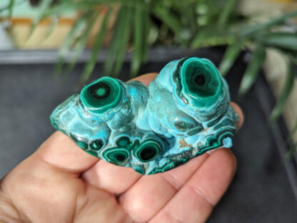 Chrysocolla Malachite botryoidal stalactite nodule polished free form