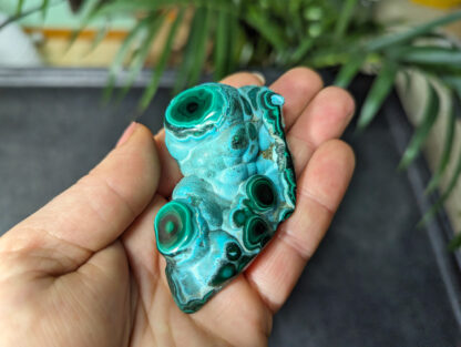 Chrysocolla Malachite botryoidal stalactite nodule polished free form - Image 2