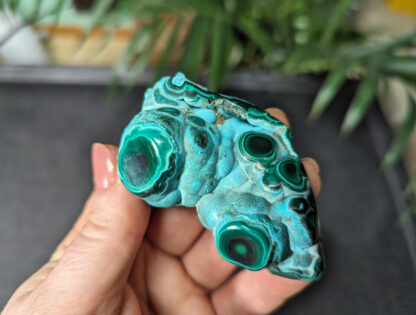 Chrysocolla Malachite botryoidal stalactite nodule polished free form - Image 8