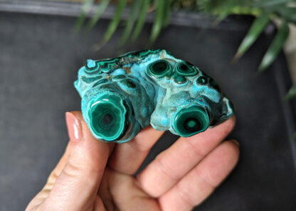 Chrysocolla Malachite botryoidal stalactite nodule polished free form - Image 7