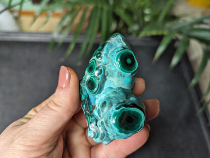 Chrysocolla Malachite botryoidal stalactite nodule polished free form - Image 6
