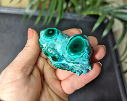 Chrysocolla Malachite botryoidal stalactite nodule polished free form - Image 5