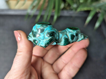 Chrysocolla Malachite botryoidal stalactite nodule polished free form - Image 4