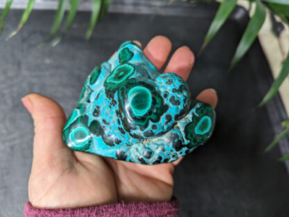 Botryoidal Malachite Chrysocolla polished nodule freeform