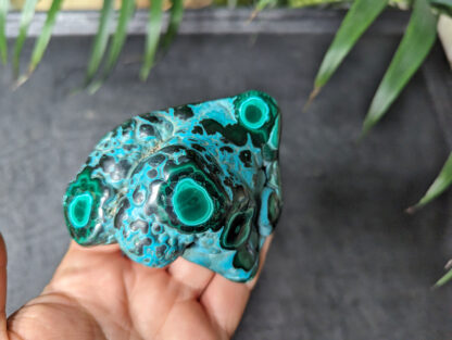 Botryoidal Malachite Chrysocolla polished nodule freeform - Image 5