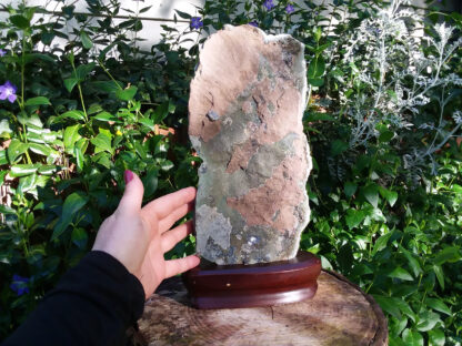 Huge Agate Crystal Geode Slice specimen on wood display stand. - Image 4