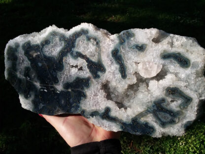 Huge Agate Crystal Geode Slice specimen on wood display stand. - Image 5