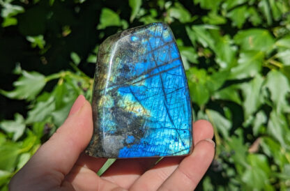 Polished Labradorite small standing free form 3"H #685 - Image 2