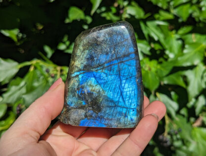 Polished Labradorite small standing free form 3"H #685 - Image 3