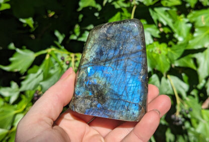 Polished Labradorite small standing free form 3"H #685 - Image 4