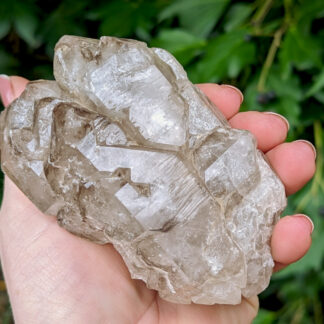 Smoky Quartz Elestial Cluster 4" x 2.5" #648