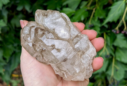 Smoky Quartz Elestial Cluster 4" x 2.5" #648