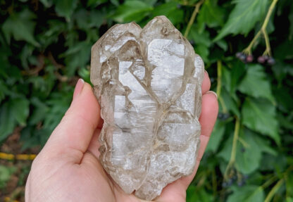 Smoky Quartz Elestial Cluster 4" x 2.5" #648 - Image 2