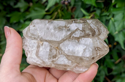 Smoky Quartz Elestial Cluster 4" x 2.5" #648 - Image 3