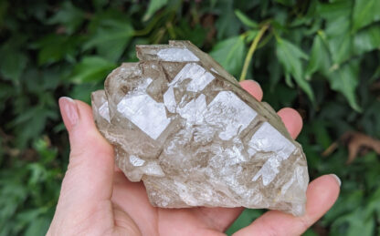 Smoky Quartz Elestial Cluster 4" x 2.5" #648 - Image 4