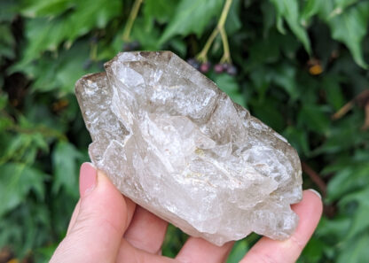 Smoky Quartz Elestial Cluster 4" x 2.5" #648 - Image 5