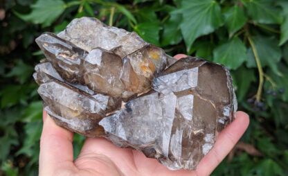 Smoky Quartz Elestial Cluster 5.5" x 3" #921 - Image 2