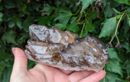 Smoky Quartz Elestial Cluster 5.5" x 3" #921 - Image 4