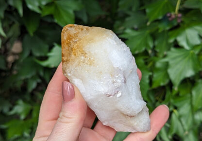 Raw natural large Citrine crystal point 4.25" long #222