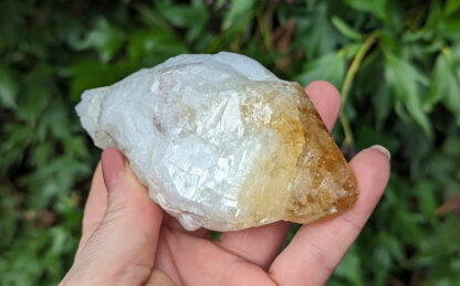 Raw natural large Citrine crystal point 4.25" long #222 - Image 2