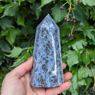 Sodalite point tower 5.5" #583
