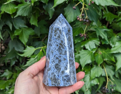 Sodalite point tower 5.5" #583
