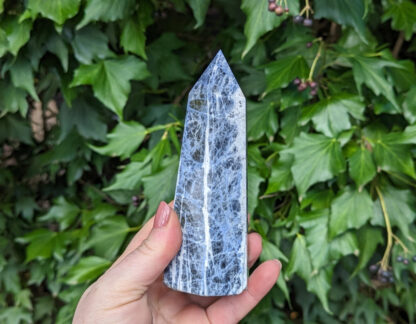 Sodalite point tower 5.5" #583 - Image 2