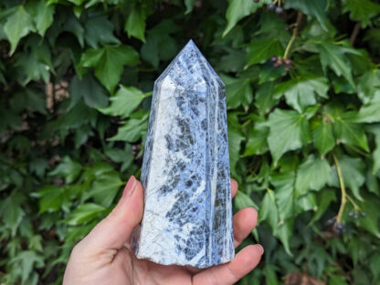 Sodalite point tower 5.5" #583 - Image 3