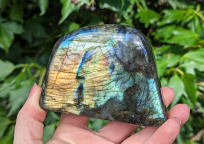 Polished Labradorite standing free form 2.75"H x 3.7/8" W #172