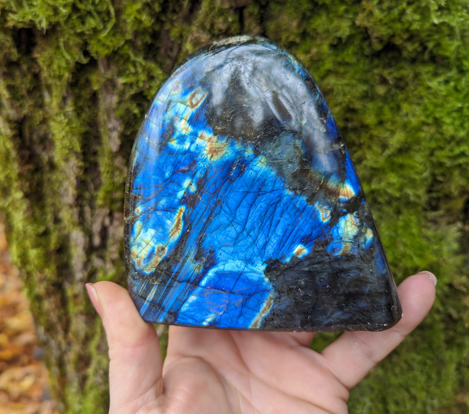 Labradorite polished form - blue flash #496