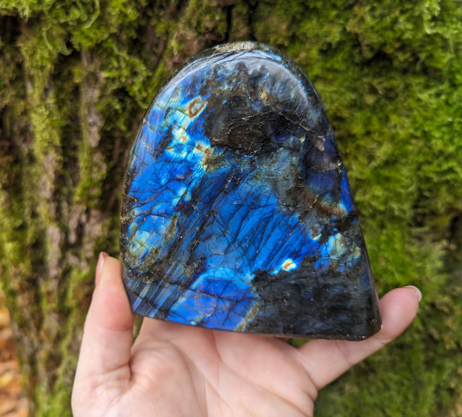 Labradorite polished form - blue flash #496 - Image 2